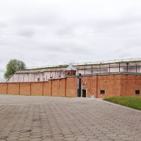 Cultural Tours