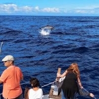 Cruises, Sailing & Water Tours