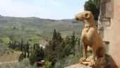 Customized and comfortable tuscan excursion.