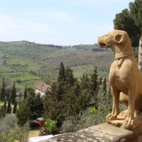 Tours & Sightseeing