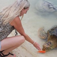 Private & Custom Tours
