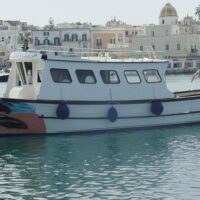 Full-day Tours