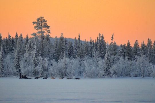 New Year’s Day long weekend in Northern Sweden