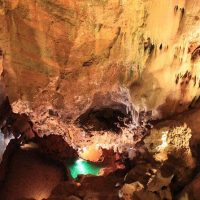 Eco Tours