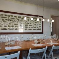 Wine Tasting & Winery Tours