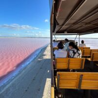 Sightseeing Tickets & Passes