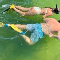 Shore Excursions
