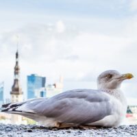 Archaeology Tours