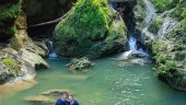 You won’t be sorry!