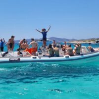 Day Cruises