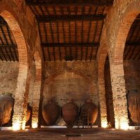 Cultural Tours