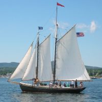 Cruises, Sailing & Water Tours