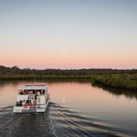 Day Cruises