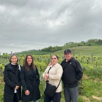 Full-day Tours