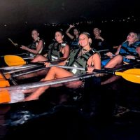 Sustainable Tours