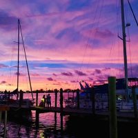 Cruises, Sailing & Water Tours