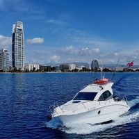 Shore Excursions