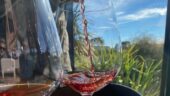Wonderful Wineinsights