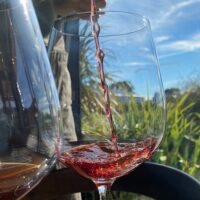 Wine Tasting & Winery Tours