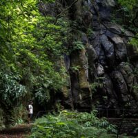 Day Trips & Excursions