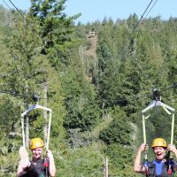 Ziplines