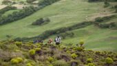 Hiking in Faial