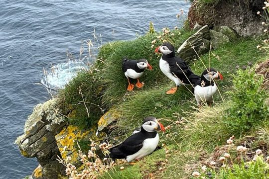 New Year’s Day long weekend in Lerwick