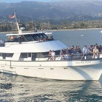 Boat Tours