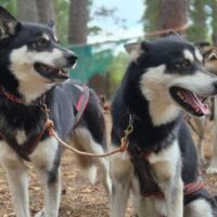 Hiking & Camping