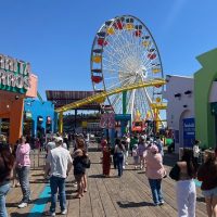 Full-day Tours