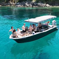 Day Cruises