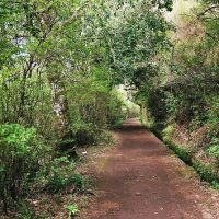 Half-day Tours