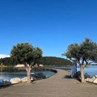 Archaeology Tours
