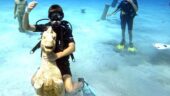 Diving taster