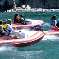 Jet Boats & Speed Boats