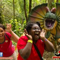 Attraction Tickets