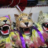 Luxury Tours