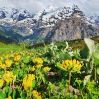 Hiking & Camping