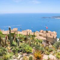 Shore Excursions