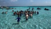 Holding a stingray is wild :)