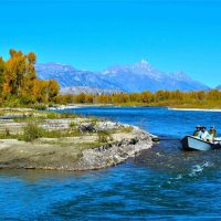 Fishing
