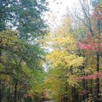 Holiday & Seasonal Tours