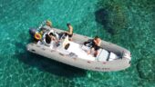 Anglesea Puffin Island tour