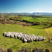 Cultural & Theme Tours