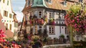 Great experience in the Alsace countryside