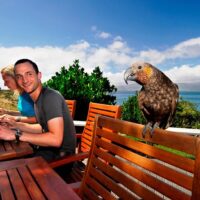 Private & Custom Tours