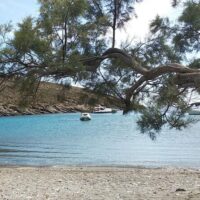 Hiking & Camping