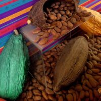 Chocolate Tours