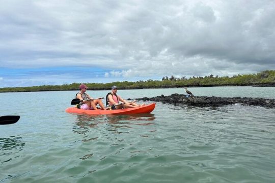 Halloween in Galapagos Islands