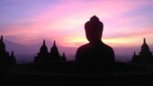 Tour with Friends in Yogyakarta!